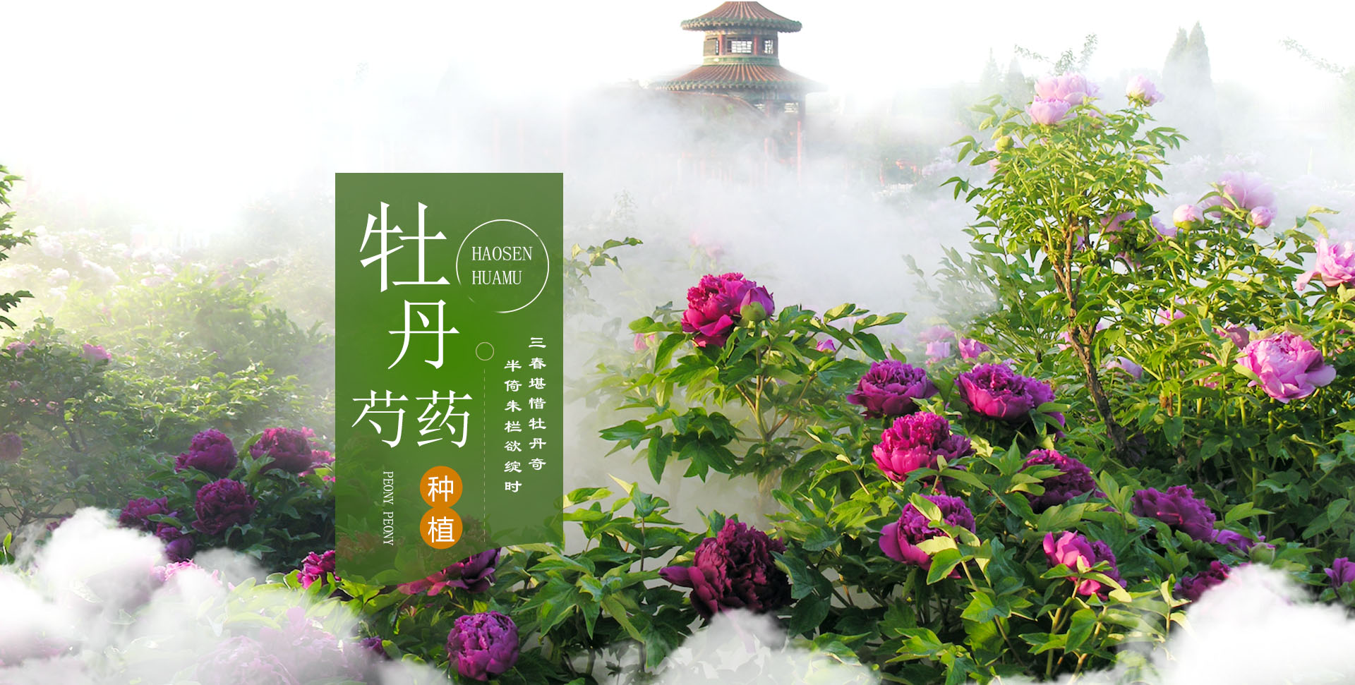 德隆科技