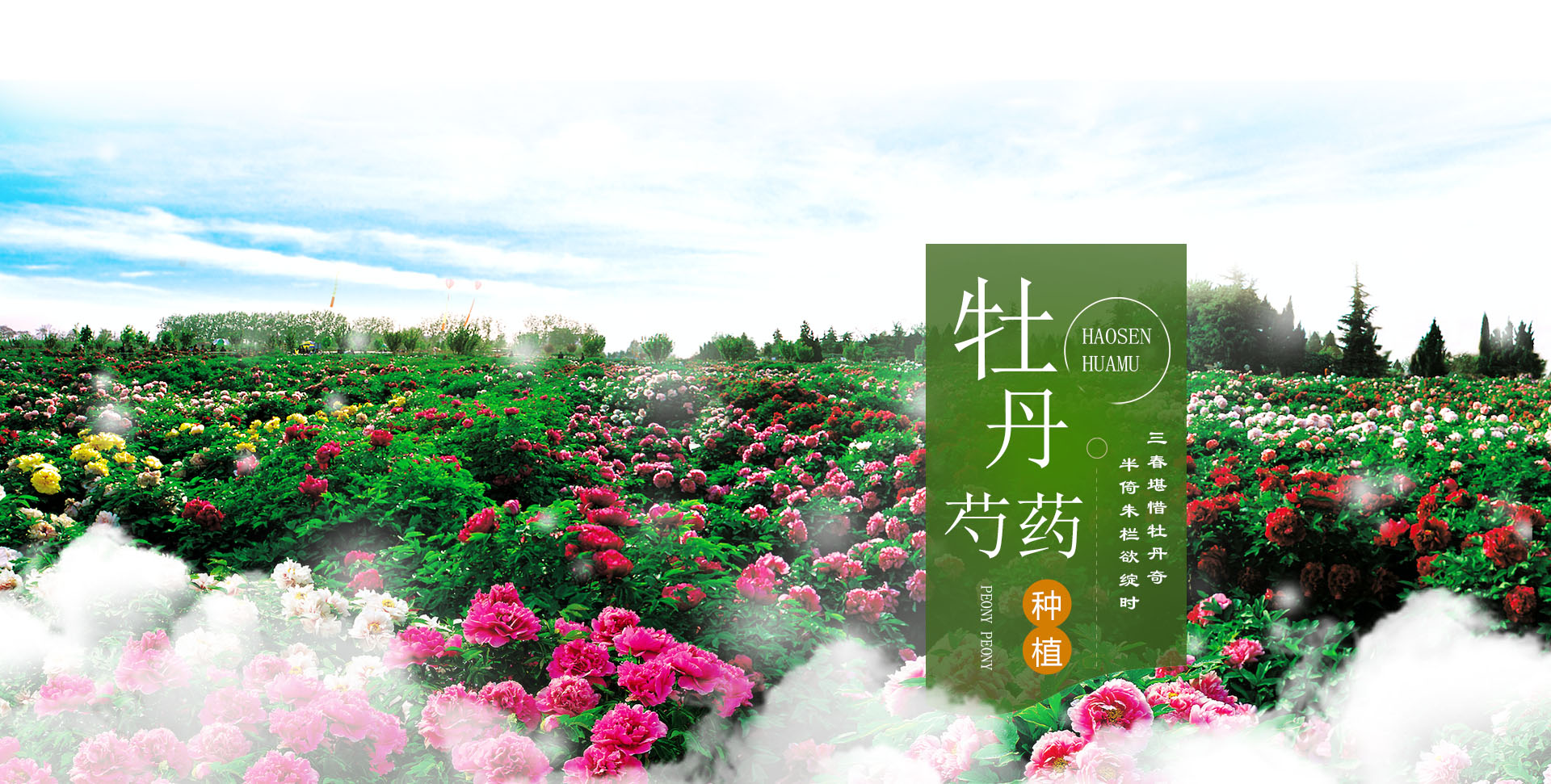 德隆科技